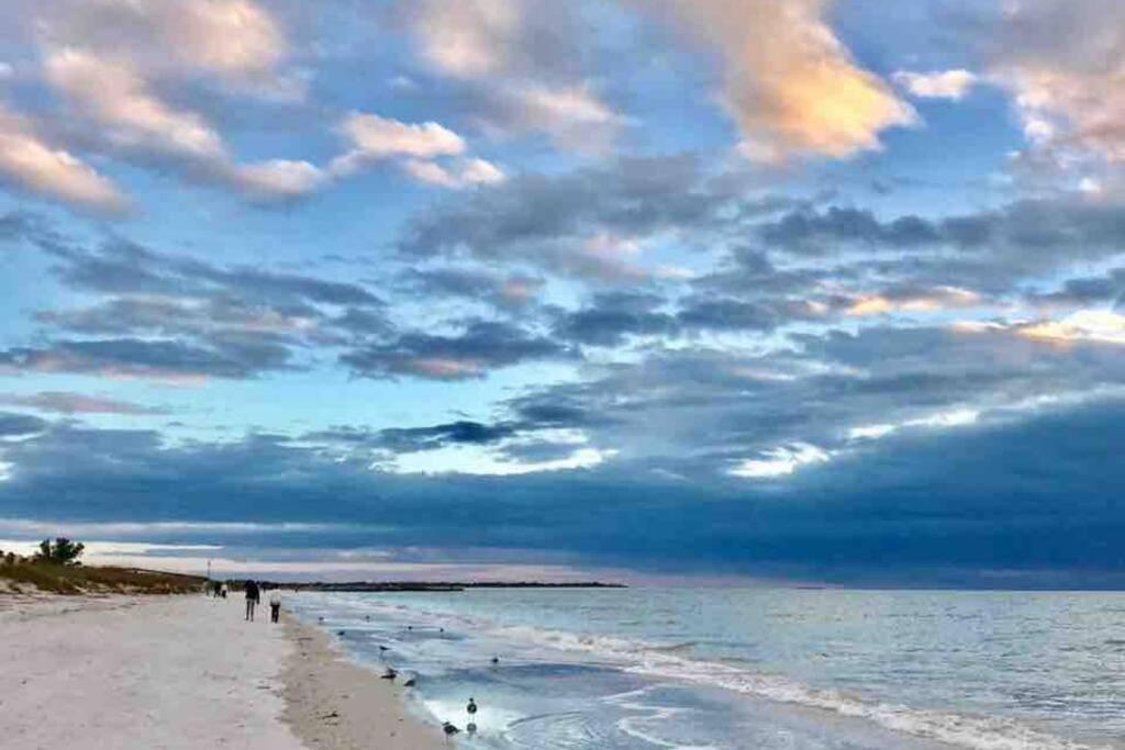 St Pete Vacation Rentals St. Petersburg Luaran gambar